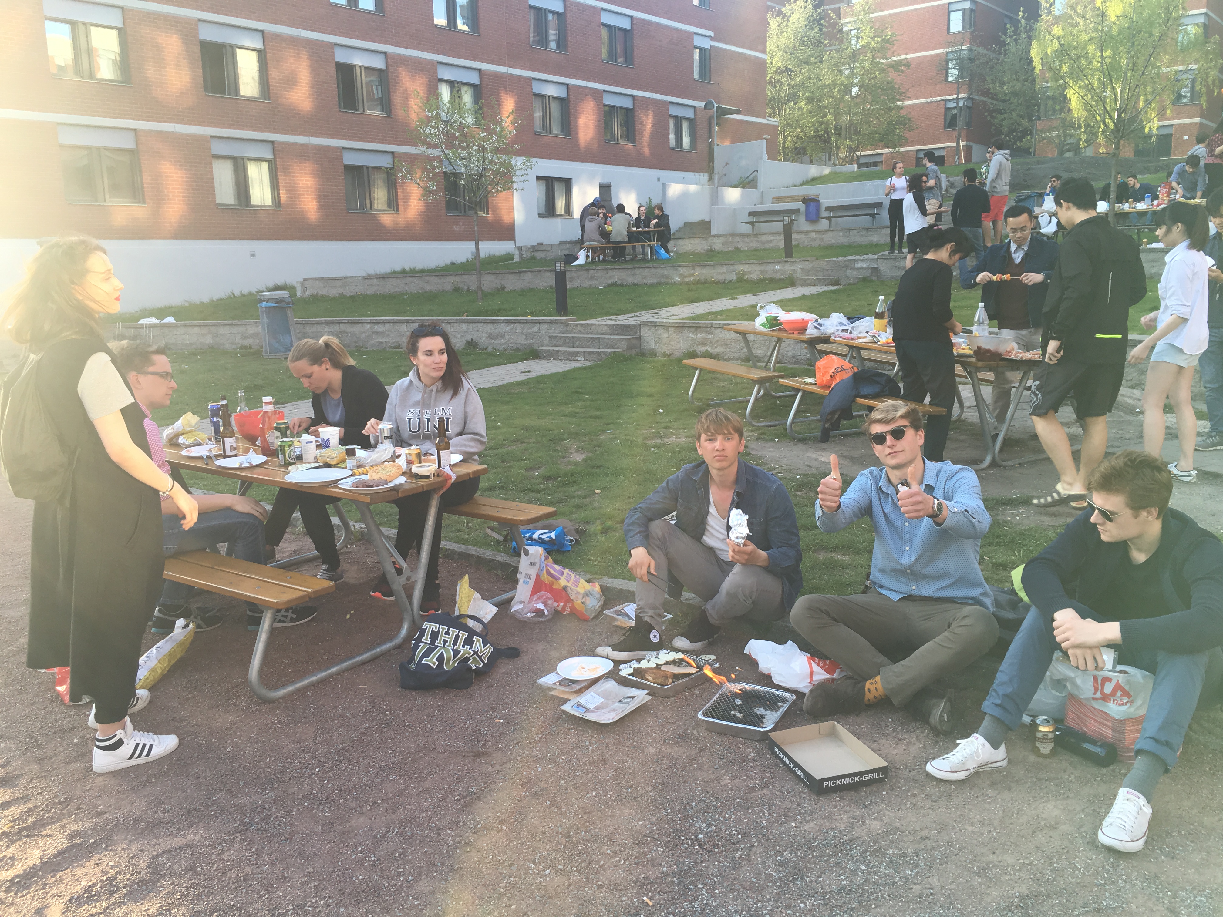 The backyard of Lappis, the place I lived in