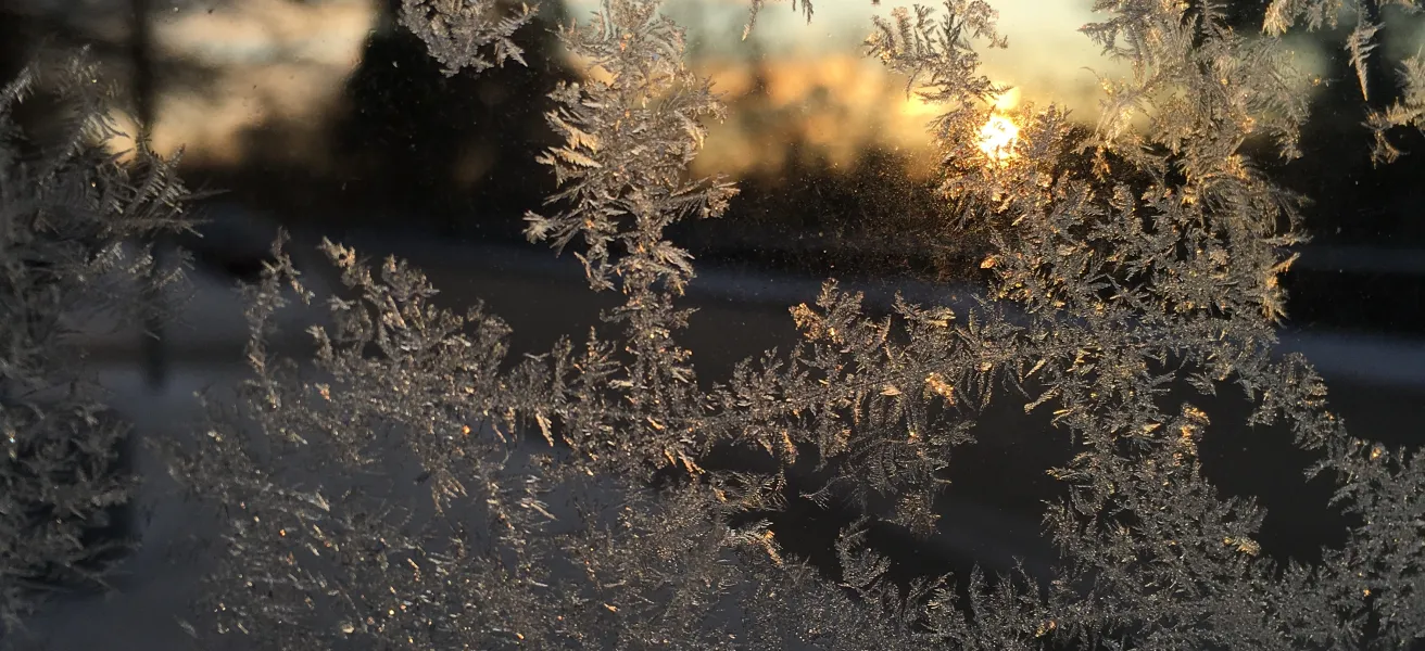 Ice crystals on my window