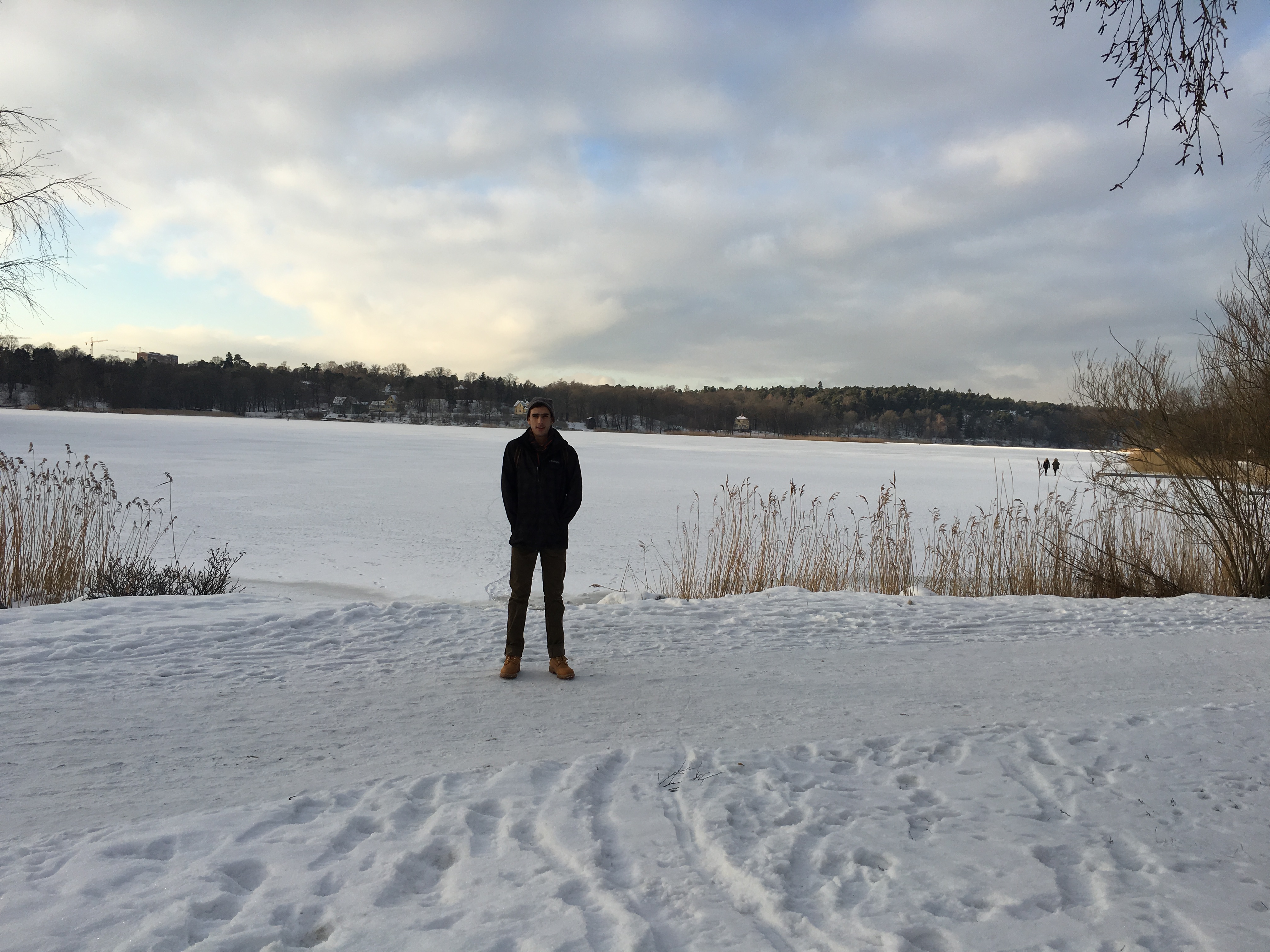 Ice crystals on my window